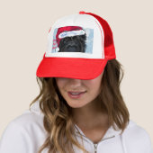 Affenpinscher   trucker pet (In situ)