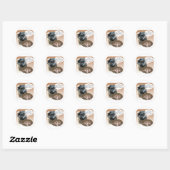 Affenpinscher Turkije Ronde Sticker (Vel)