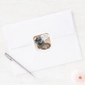 Affenpinscher Turkije Ronde Sticker (Envelop)