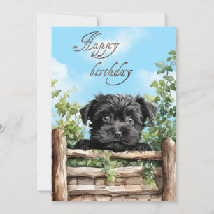 Affenpinscher Waterverf hond gluren over hek Feestdagenkaart