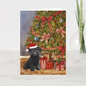 Affenpinscher Waterverf onder de kerstboom Kaart (Voorkant)