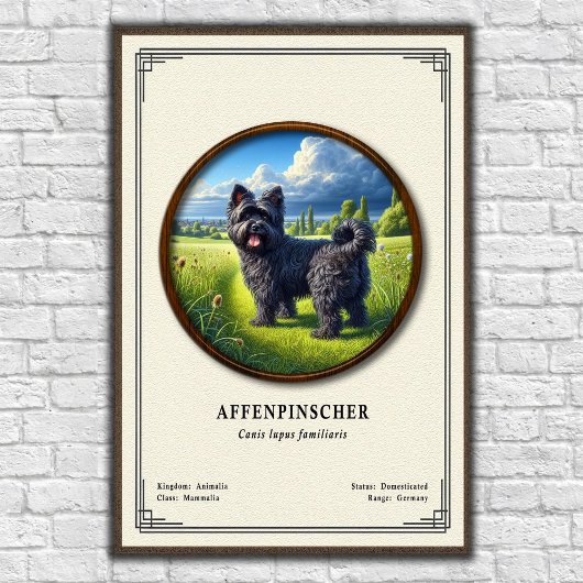 Affenpinscher Zoölogie Serie Poster