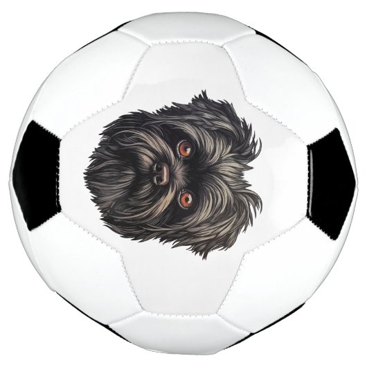 Affenpinscher Zwarte Hond Voetbal (Gedraaid)