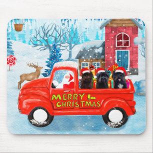 Affenpinschers Dog in kerst Delivery Truck Muismat