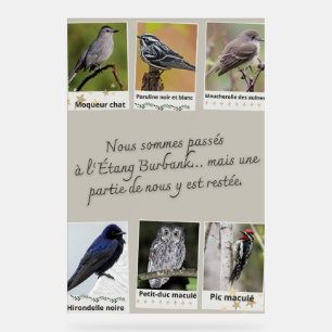 Affiche Collage van Vogels uit de Burbankvijver – Acryl Bord