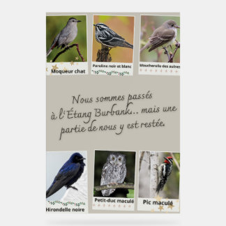 Affiche Collage van Vogels uit de Burbankvijver – Acryl Bord