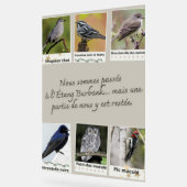 Affiche Collage van Vogels uit de Burbankvijver – Acryl Bord (Hoek)