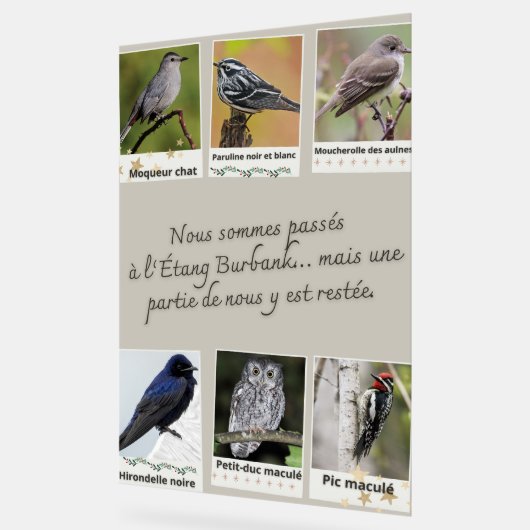 Affiche Collage van Vogels uit de Burbankvijver – Acryl Bord (Hoek)