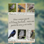 Affiche Collage van Vogels uit de Burbankvijver – Acryl Bord (Neutraal)