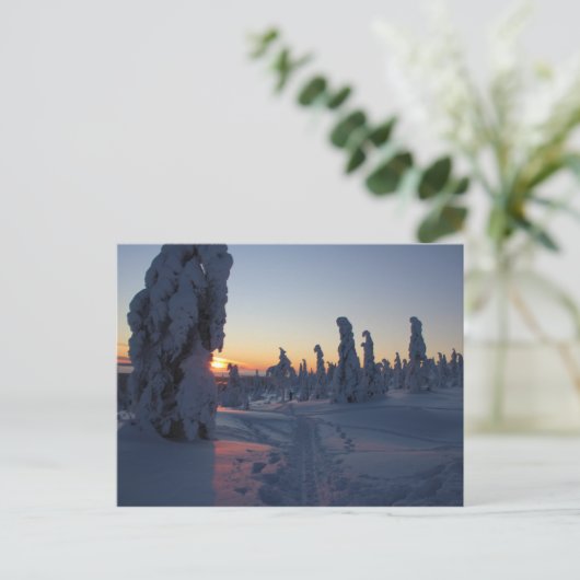 Affiche Couché de soleil sur la forêt en Laponie Briefkaart (Staand voorkant)