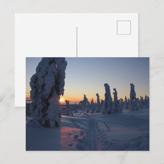 Affiche Couché de soleil sur la forêt en Laponie Briefkaart (Voorkant / Achterkant)