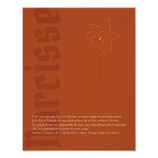 Affiche Narcisse Foto Afdruk