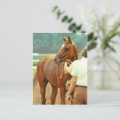 Affirmed Thoroughbred Racehorse 1978 Briefkaart (Staand voorkant)