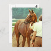 Affirmed Thoroughbred Racehorse 1978 Briefkaart (Voorkant / Achterkant)