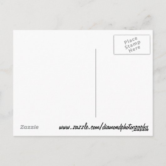 Affirmed Thoroughbred Racehorse 1978 Briefkaart (Achterkant)