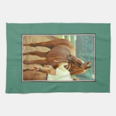 Affirmed Thoroughbred Racehorse 1978 Theedoek (Horizontaal)