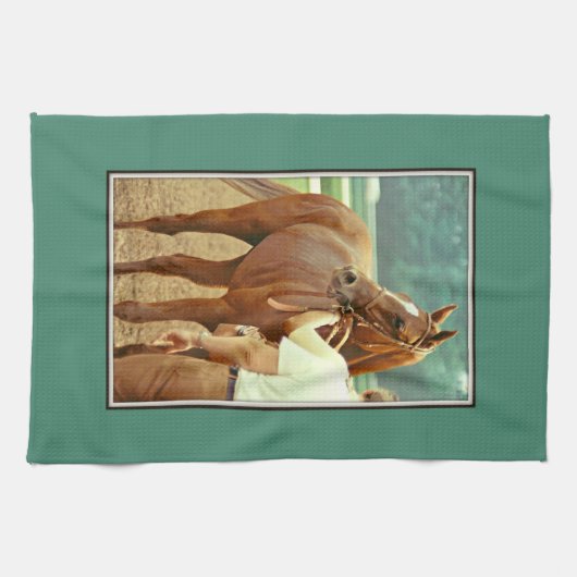 Affirmed Thoroughbred Racehorse 1978 Theedoek (Horizontaal)