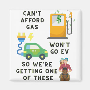 Afford Gas of EV kan dus geen paardenheekcadeau ko Magneet