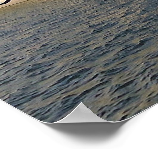 Afgedankte cruiseschepen poster (Hoek)