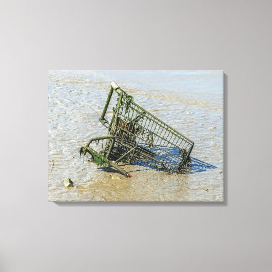 Afgedankte winkelwagen uitzicht canvas print (Voorkant)