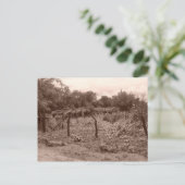 Afgekalibreerde wijngaard 2 briefkaart (Staand voorkant)