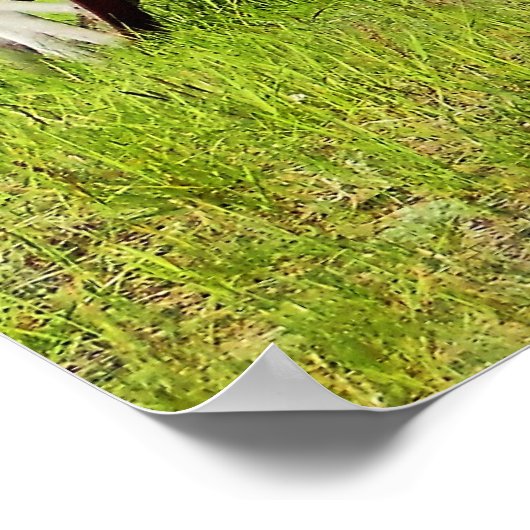 Afgekatende afdruk van wagon poster (Hoek)