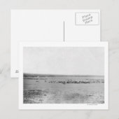 Afgelegen Uitzicht van cowboys met veeteeltbeslage Briefkaart (Voorkant / Achterkant)