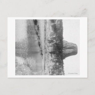 Afgelegen Uitzicht van de duiveltoren met water in Briefkaart