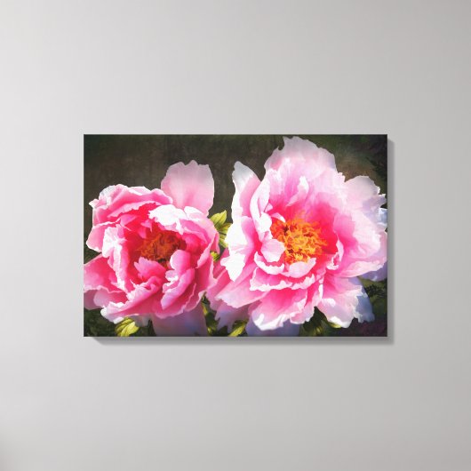 Afgescheiden, roze pioenrozen canvas afdruk (Voorkant)