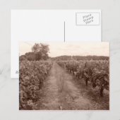 Afgestane wijngaard briefkaart (Voorkant / Achterkant)