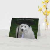 afgestudeerd kaart (Gele Bloem)