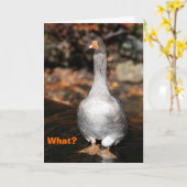 Afgestudeerd Kaart (Gele Bloem)