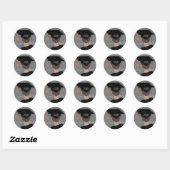 Afgestudeerd op de universiteit Middelbare school  Ronde Sticker (Vel)