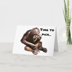 Afgestudeerd: Tijd om je College te kiezen Kaart