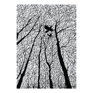 Afgetekende raven in de winterbomen foto afdruk