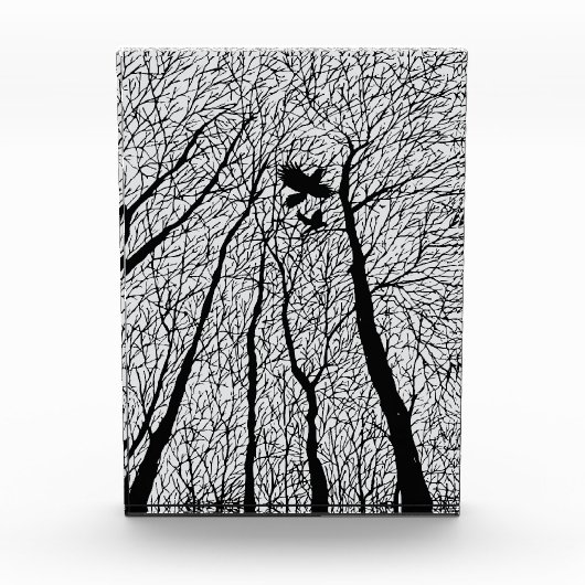 Afgetekende raven in de winterbomen fotoblokken (Voorkant)