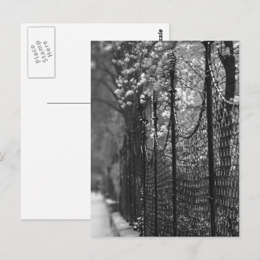 Afgezonderd Briefkaart (Voorkant / Achterkant)