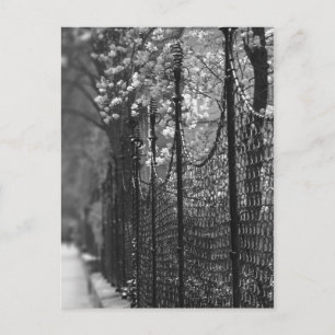 Afgezonderd Briefkaart