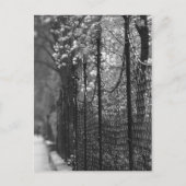 Afgezonderd Briefkaart (Voorkant)