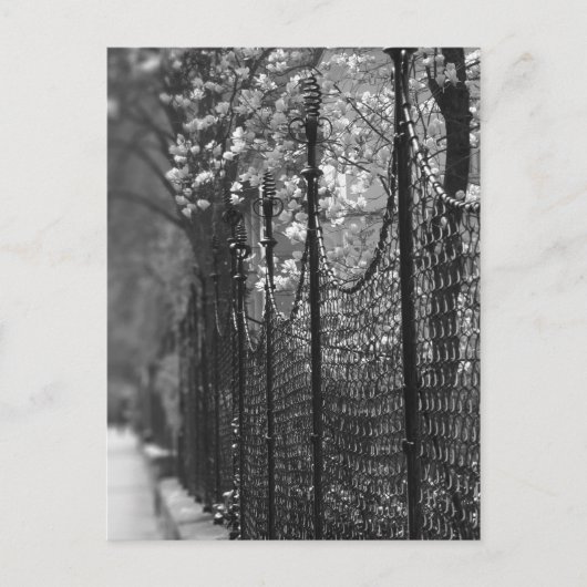 Afgezonderd Briefkaart (Voorkant)