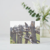 Afgezonderd in briefkaart (Staand voorkant)