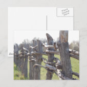 Afgezonderd in briefkaart (Voorkant / Achterkant)