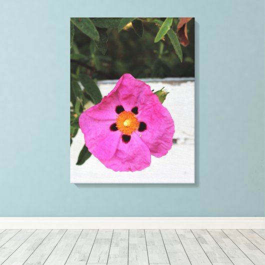 Afgezonderd in Floral Canvas Print (Insitu (Houten vloer))