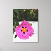 Afgezonderd in Floral Canvas Print (Voorkant)