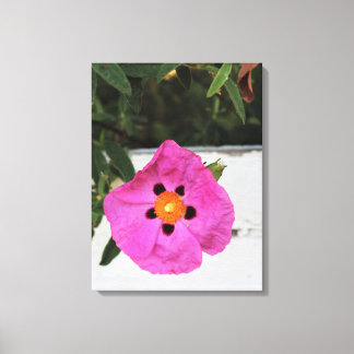 Afgezonderd in Floral Canvas Print