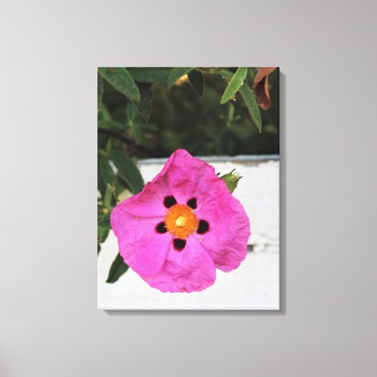 Afgezonderd in Floral Canvas Print (Voorkant)