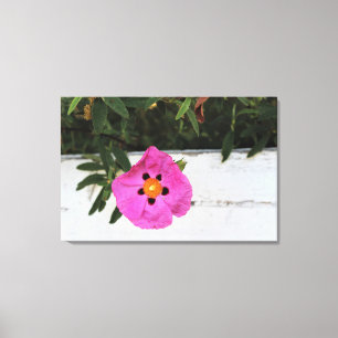 Afgezonderd in Floral Canvas Print