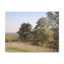 Afgezonderde Hilltop 2004 Foto