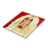 Afghaans kleurenblok tegeltje (Zijkant)