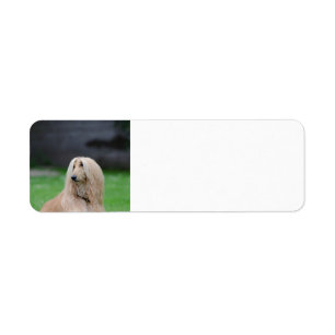 afghaans-leggen.png etiket